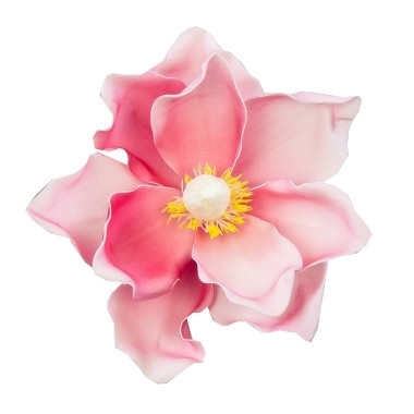 Zdjęcie Kwiat Główka Magnilia z pianki na piku